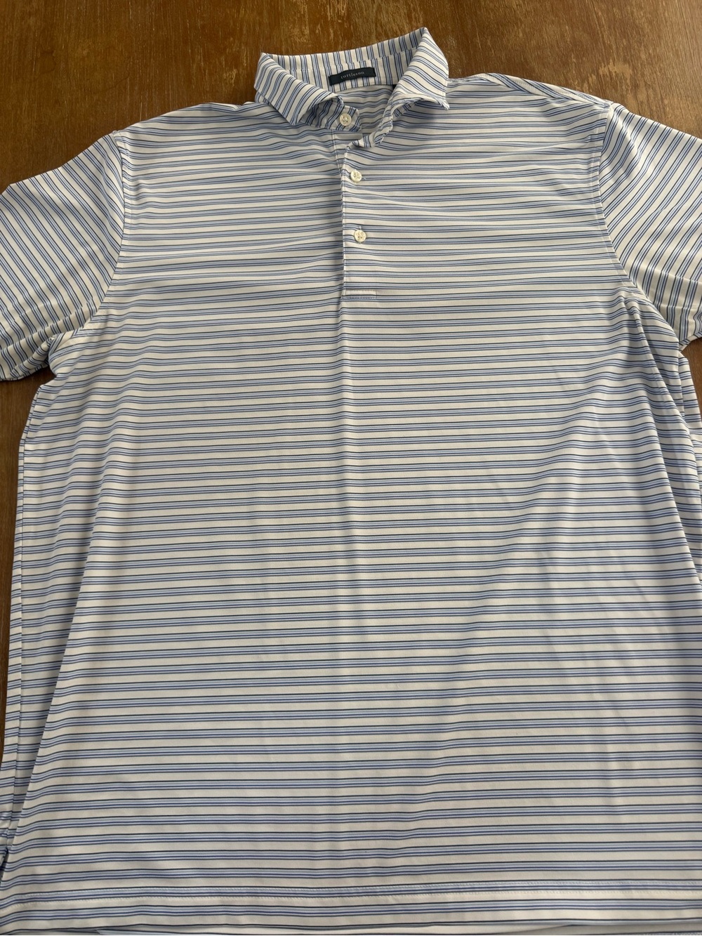 Turtles on Striped Light Blue and White Polo Shirt - Men’s Casual Performance